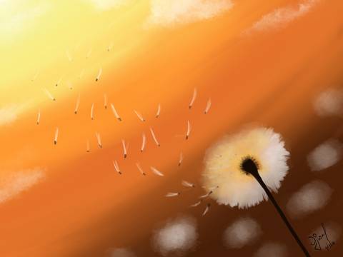 Dandelions illustration